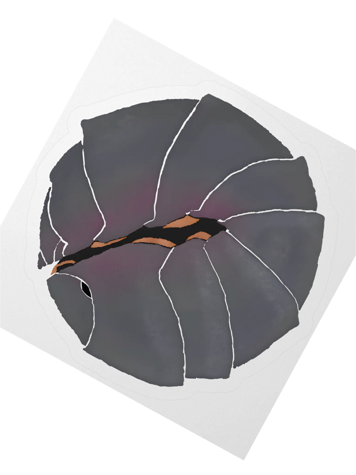 Balled Isopod Sticker product image (2)