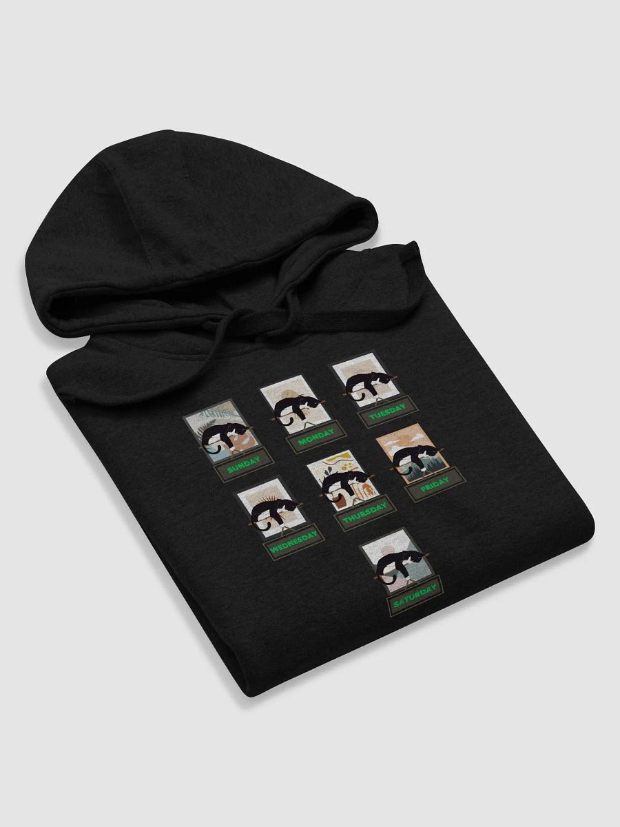 Cats Days of The Week Hoodie product image (30)