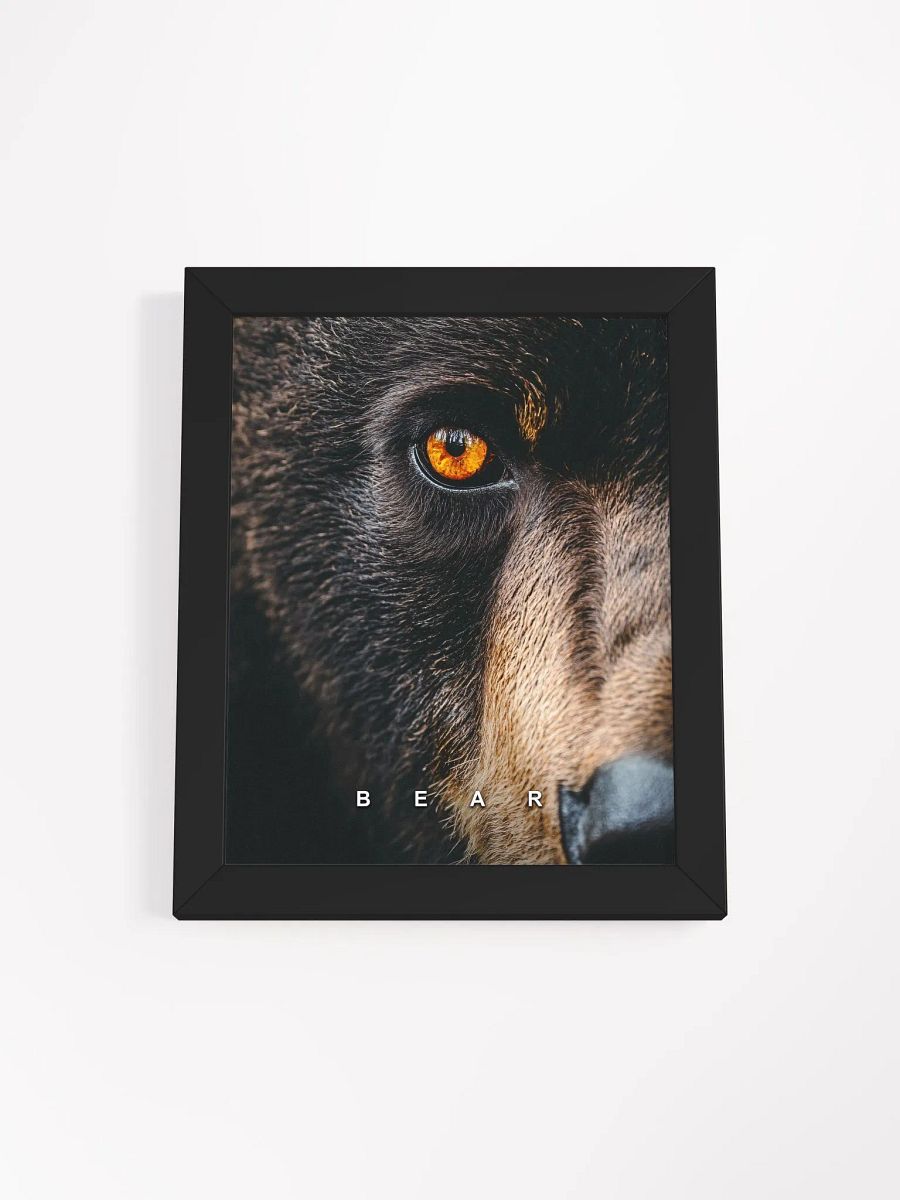 Bear's Eye Matte Poster product image (4)