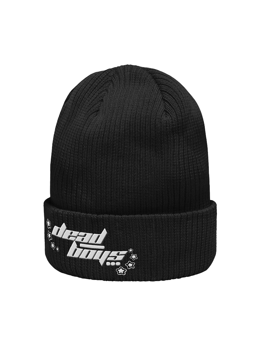 beanie product image (2)