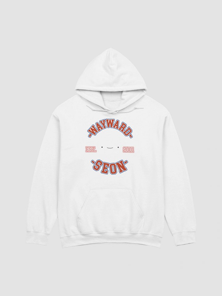 EST. 2001 HOODIE product image (1)