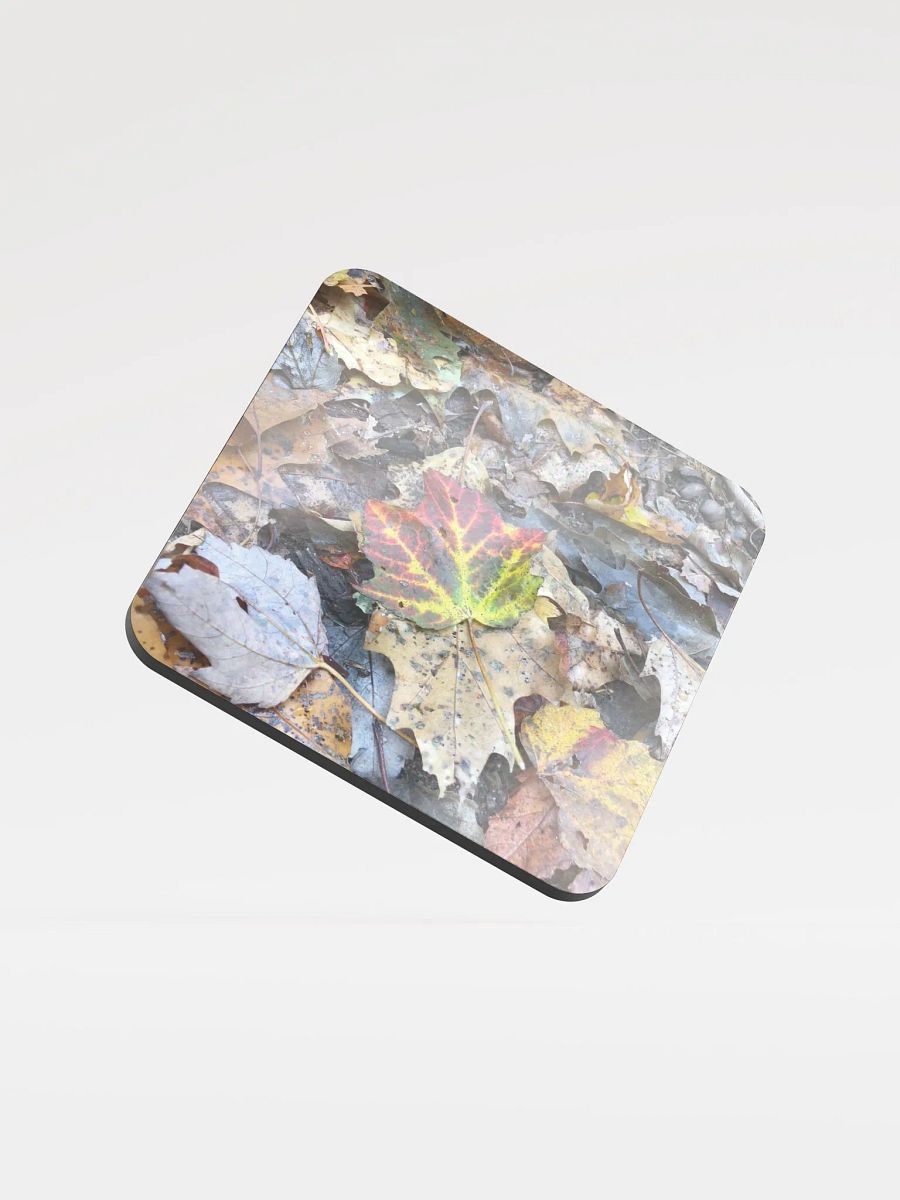 Fall Leaves Cork Coaster product image (1)
