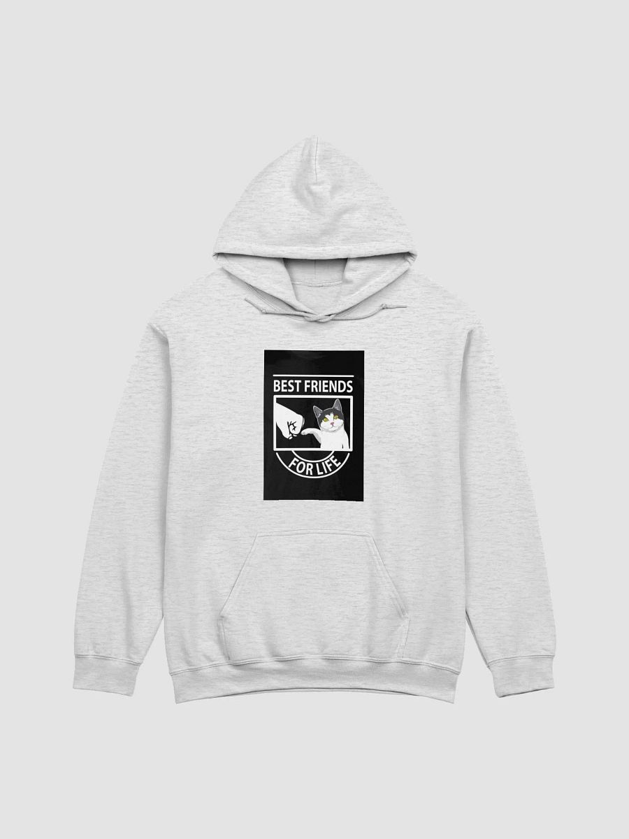 Pawsitively Best Friends Unbeatable Hoodie product image (12)