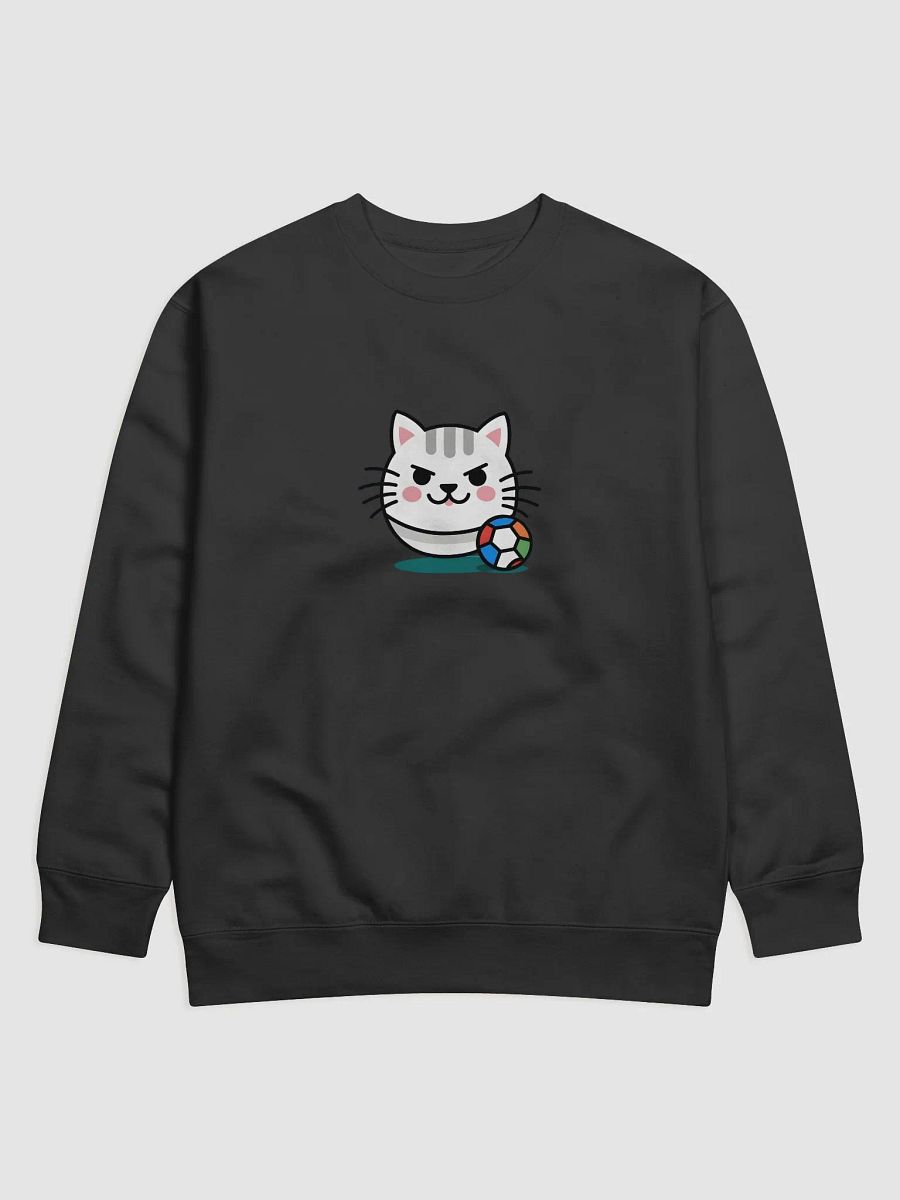 Determined Cat Adventure Sweatshirt product image (1)