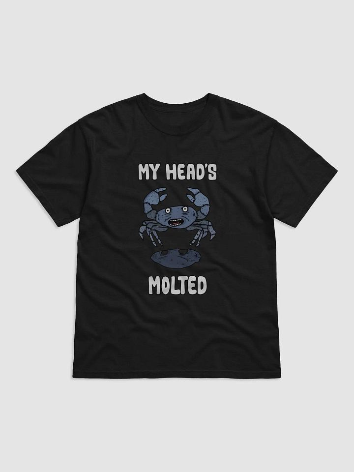 my head's molted tee product image (4)