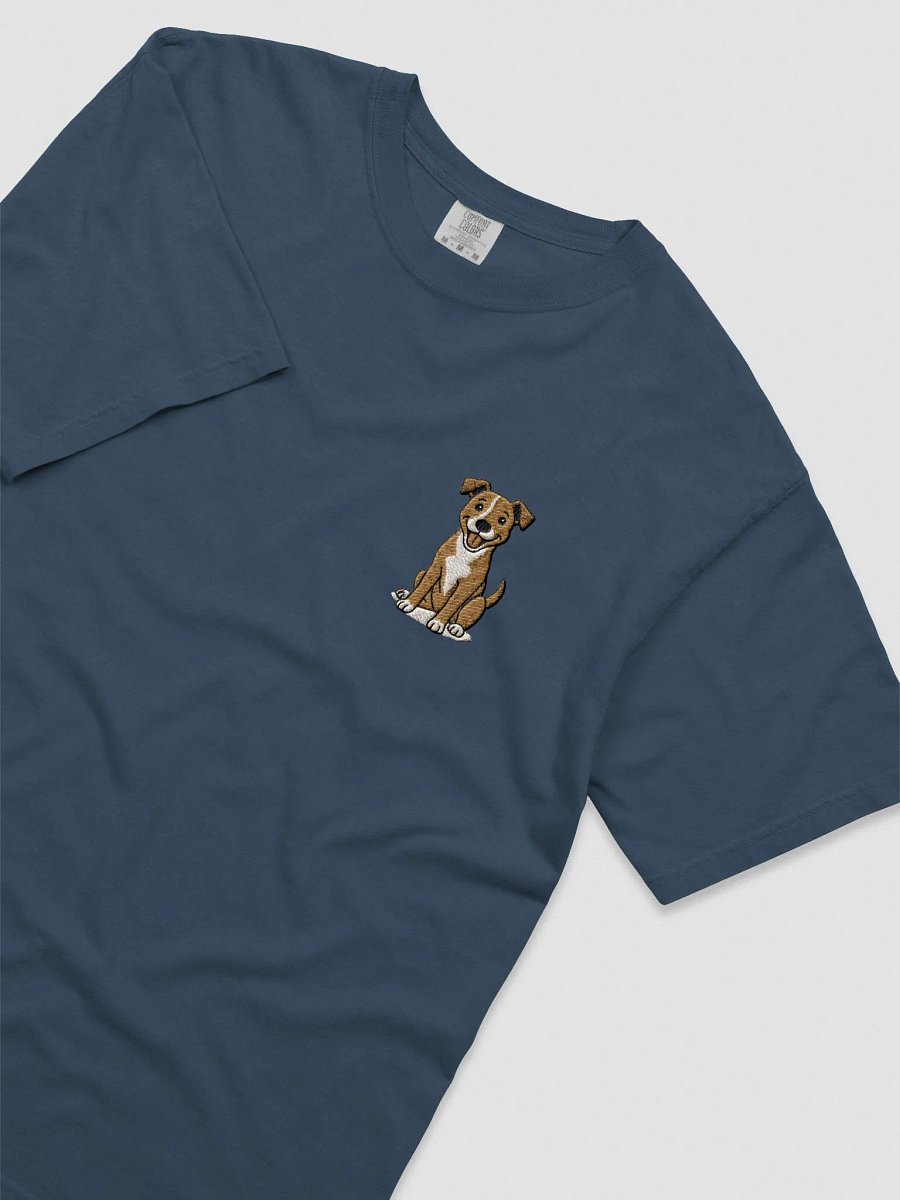 "Orion" Embroidered Tee product image (1)
