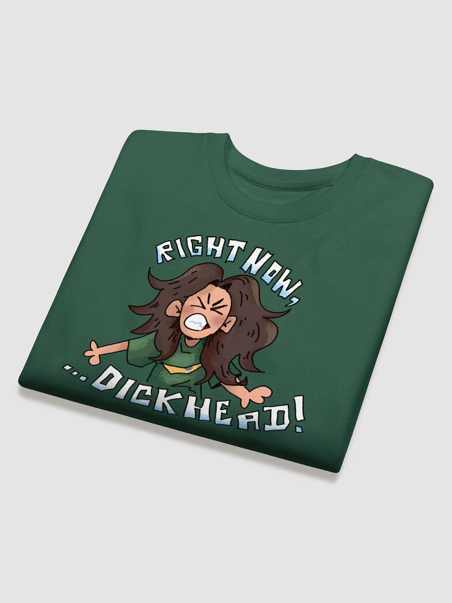 RS02: RIGHT NOW D*CKHEAD SWEATSHIRT product image (8)