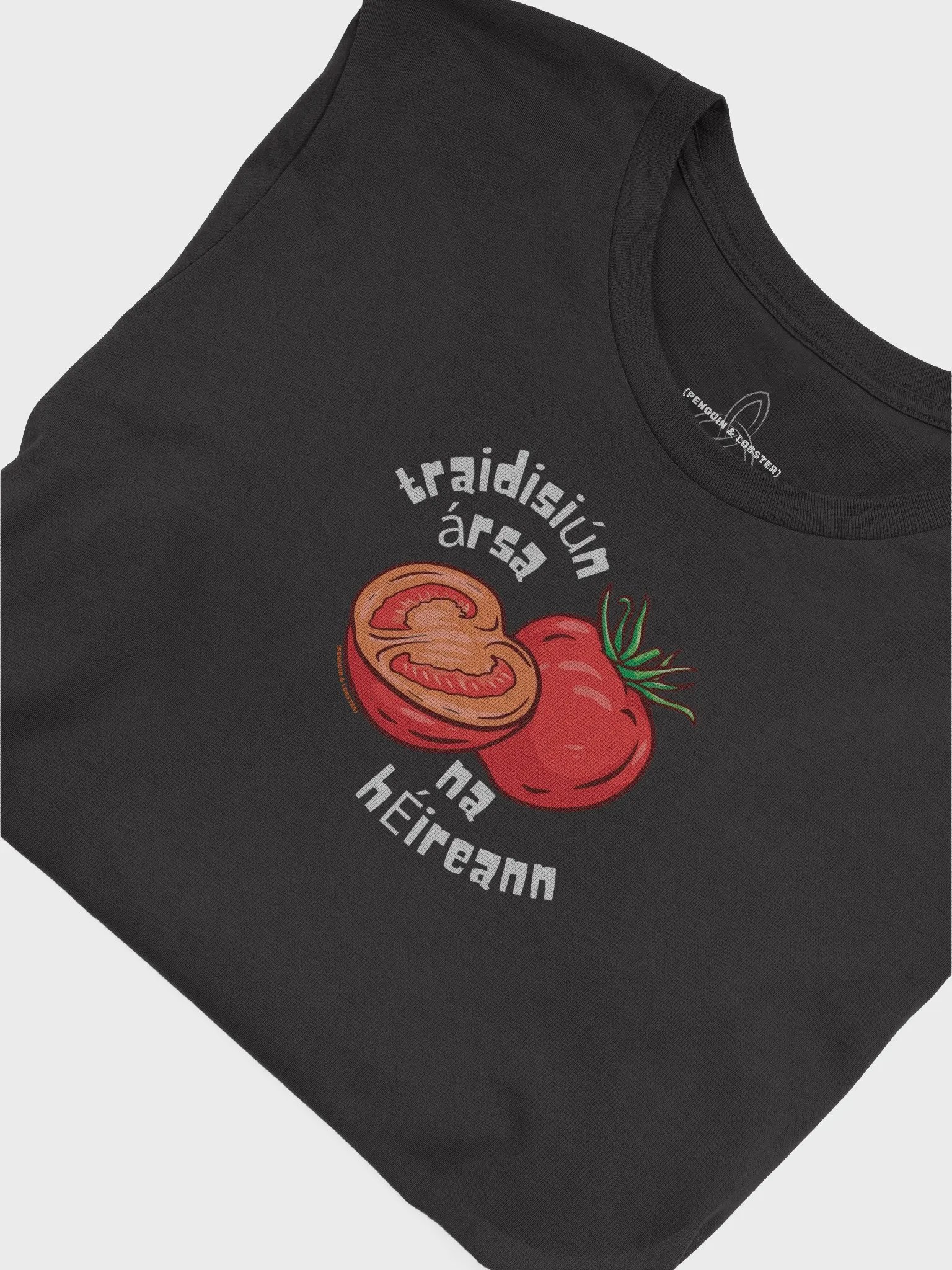 Traidisiún Ársa na hÉireann (Ancient Irish Tradition) T-Shirt product image (5)