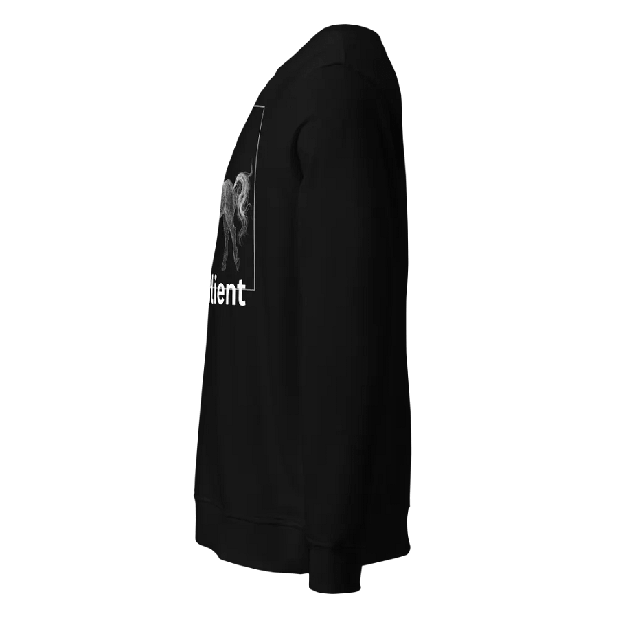 Gallus Sweat Shirt product image (3)