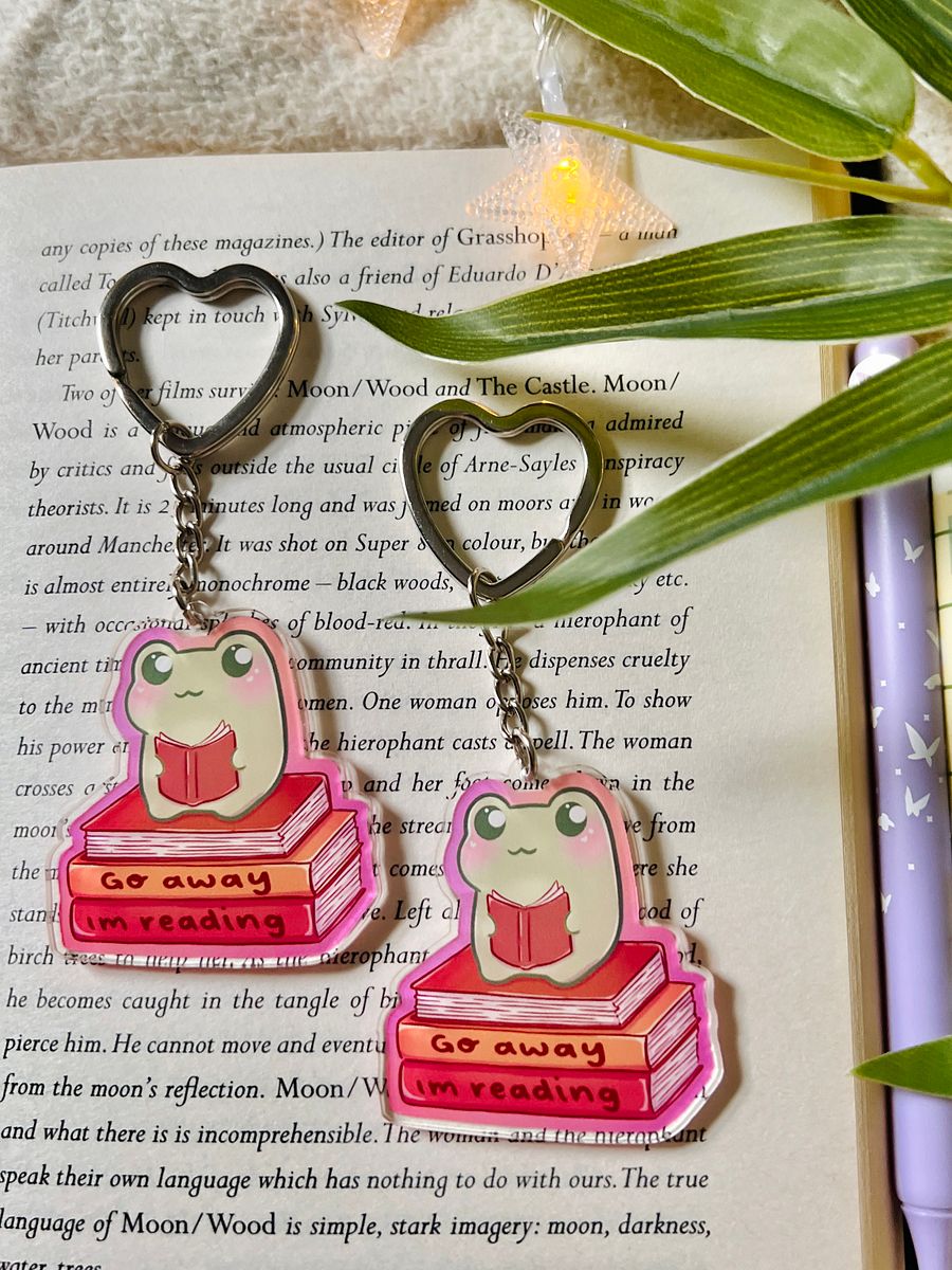 Go Away I'm Reading Frog Acrylic Keyring product image (3)