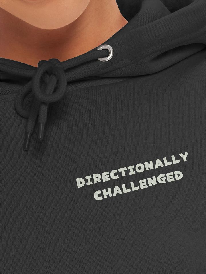 Unisex Directionally Challenged Hoodie product image (1)
