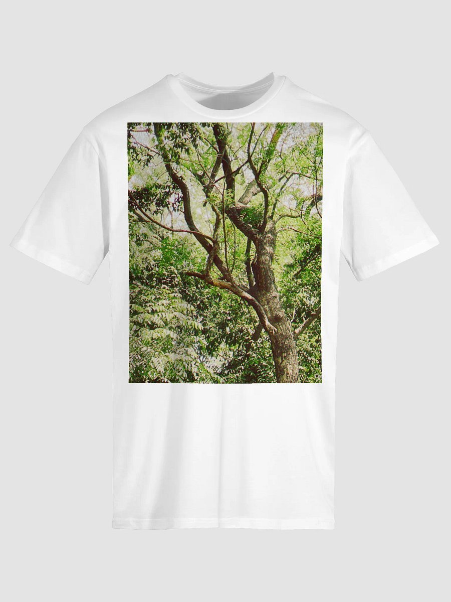EARTH TONE DIVINE MUSIC TEE product image (5)