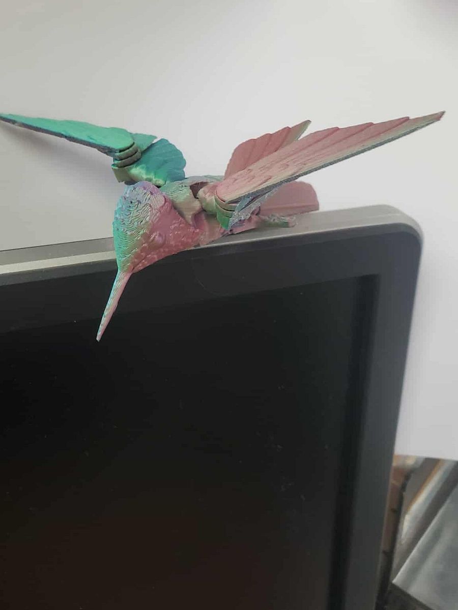 Humming Bird product image (3)
