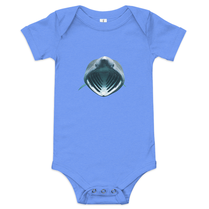 shark shirt size:baby product image (1)