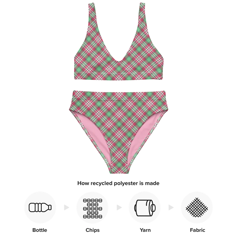 Mint Green and Pink Plaid Bikini product image (10)
