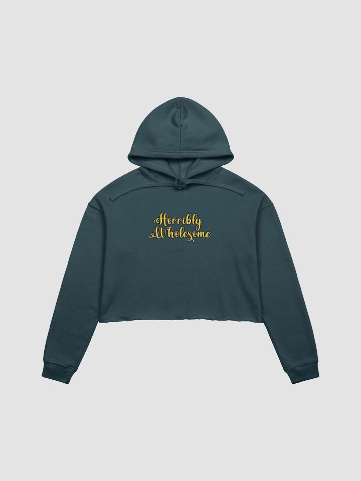 Horribly Wholesome Cropped Hoodie product image (1)