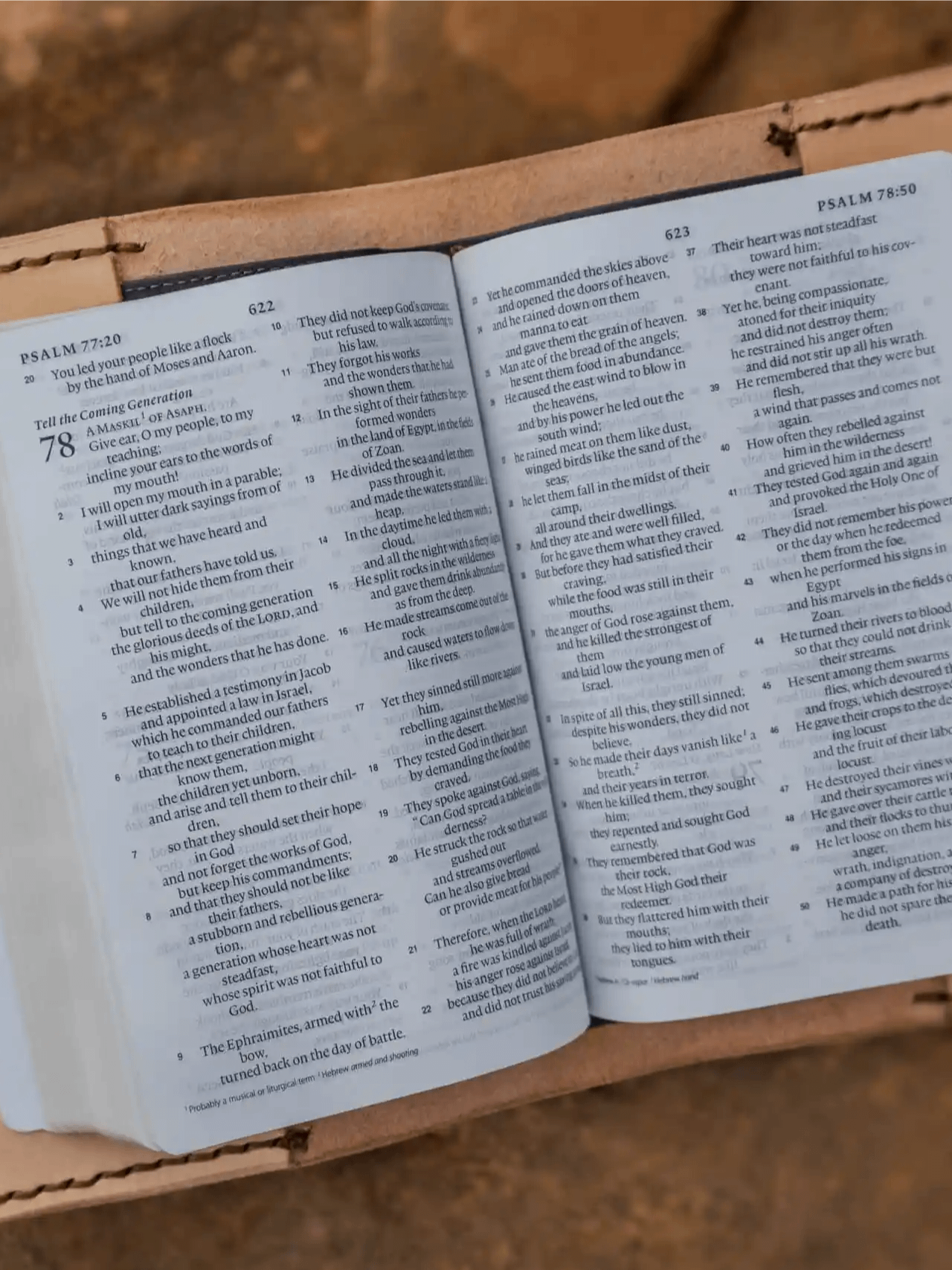 Natural Heart Bible product image (4)