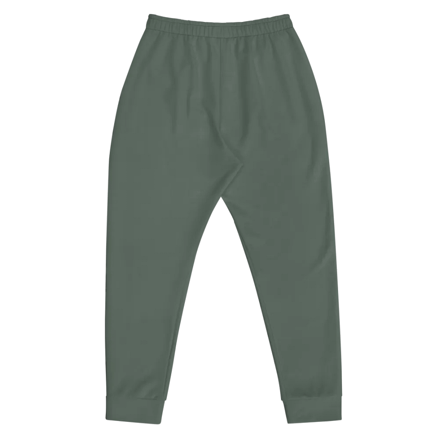 Plain Dark Sage Green Soft Summer Recycled Polyester Premium Men's Joggers by Treasure Pie product image (5)