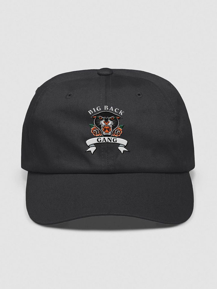 BIG BACK GANG (hat) product image (1)