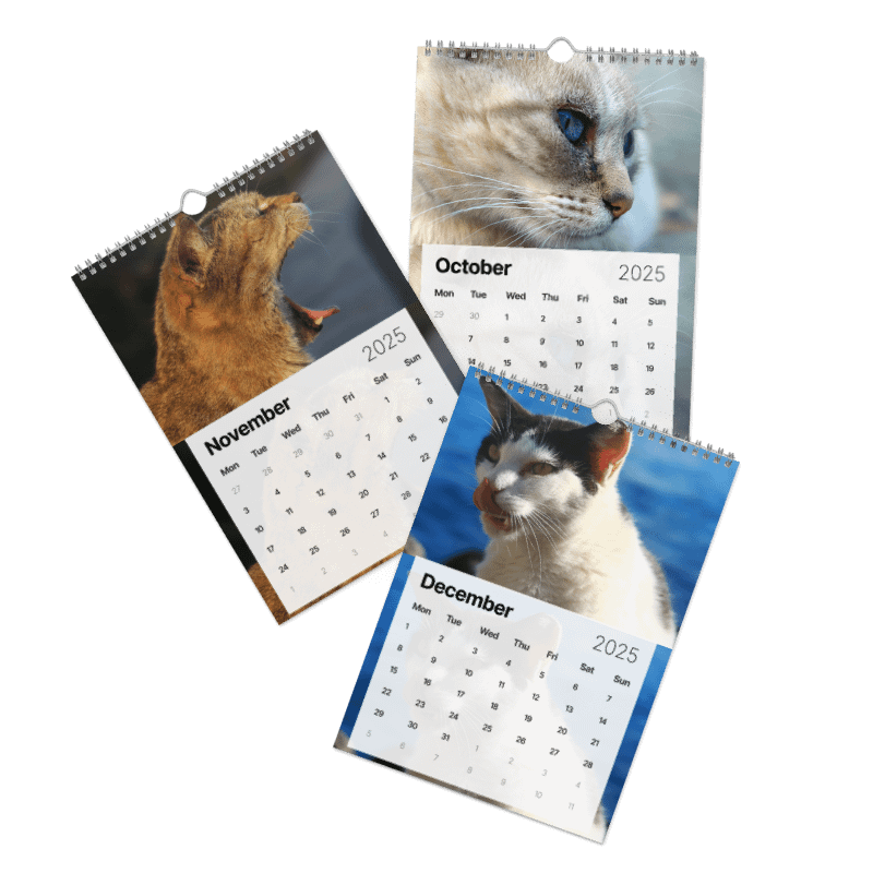 Calendar 2025 - Cats *meow* product image (5)