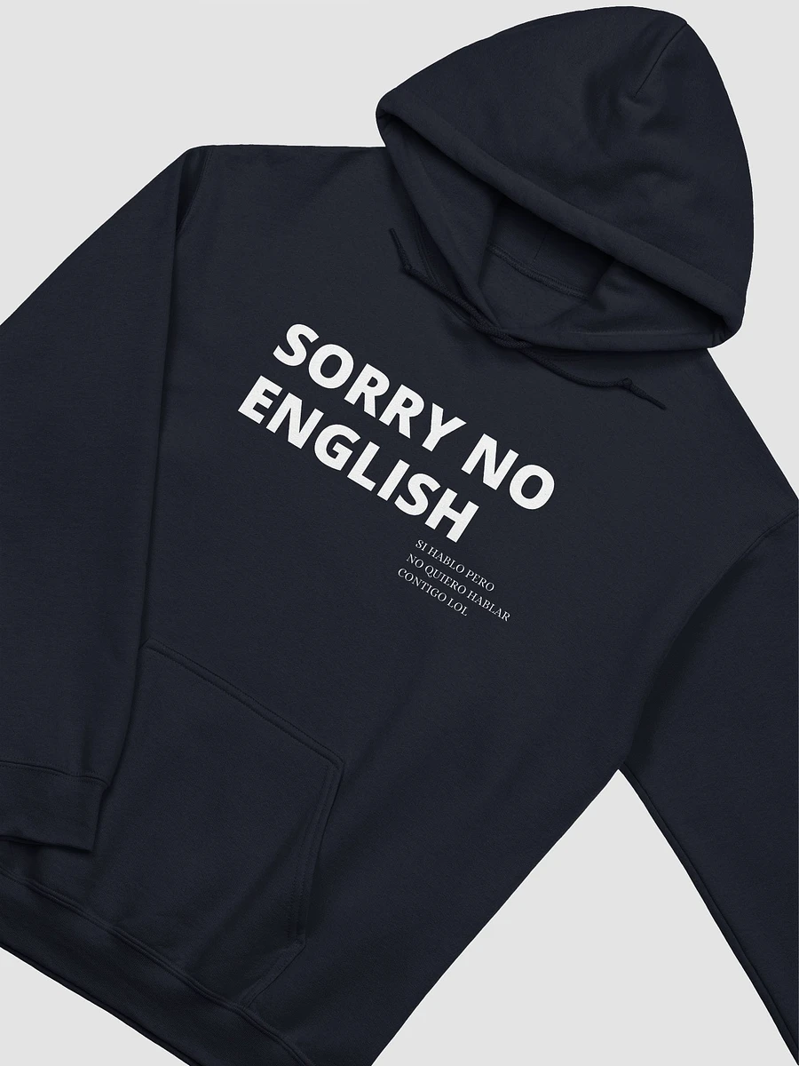 Sorry No English Hoodie product image (41)