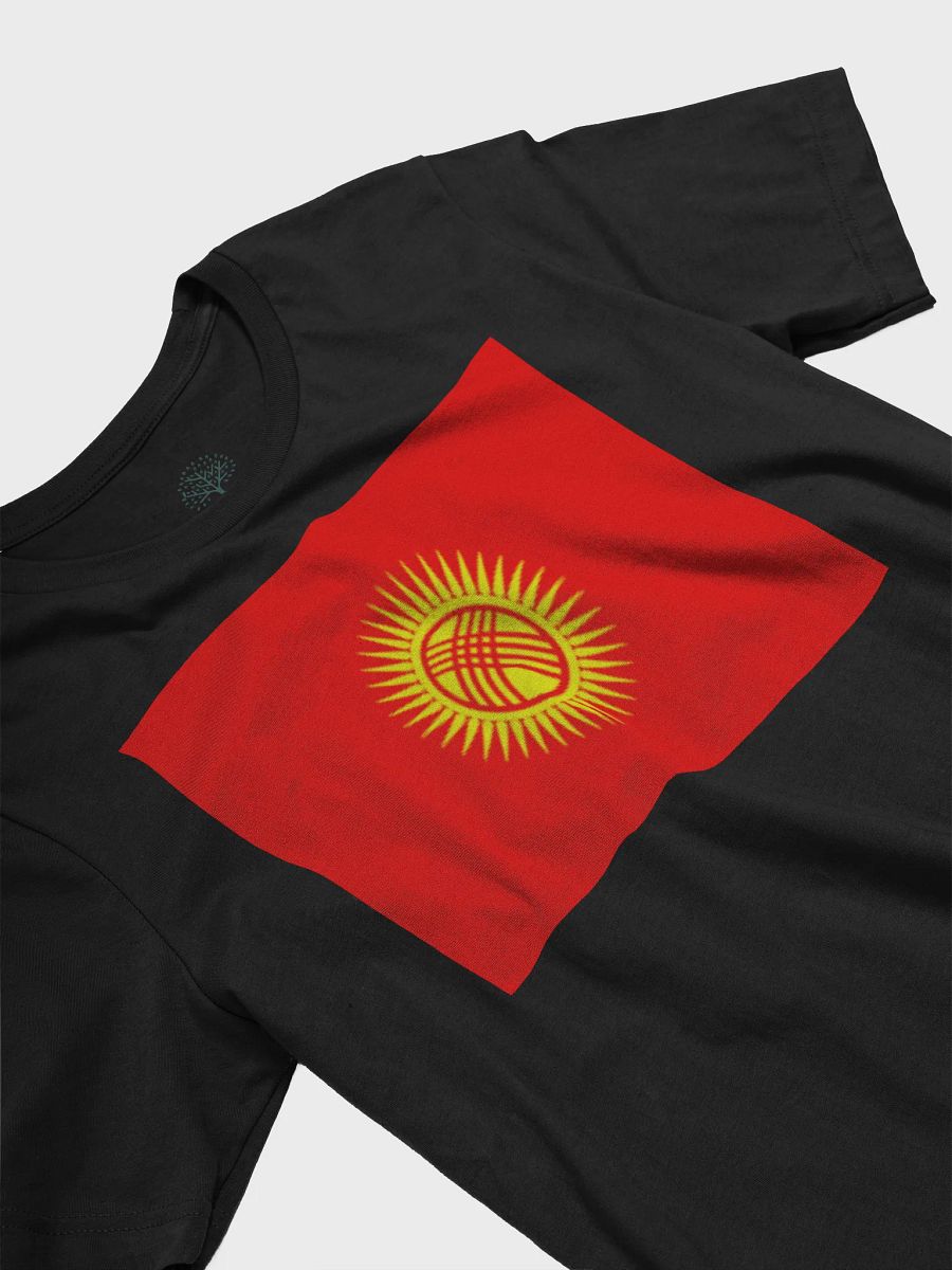 Exclusive Graphic Grove Supersoft Unisex Kyrgyz Flag T-Shirt product image (5)