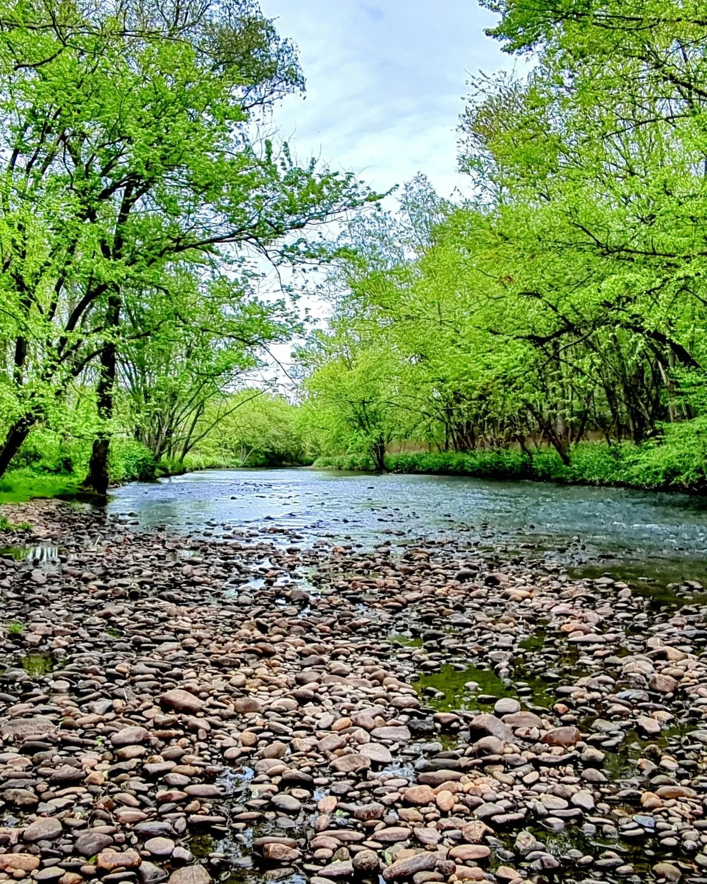 Some of the views along the Lackawanna River Heritage Trail. Video tonight at 8 30pm over on my YouTube channel.

https://you...