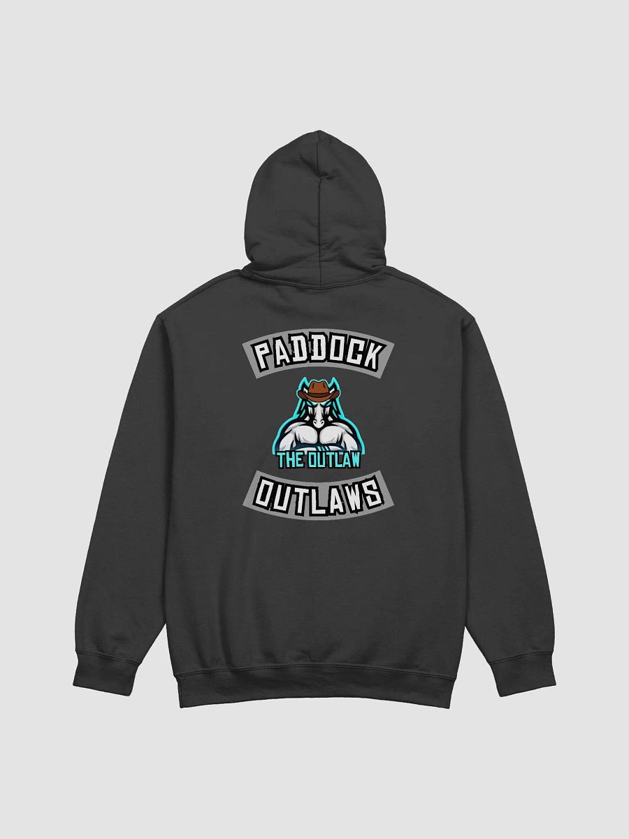 Outlaw Hoody product image (2)