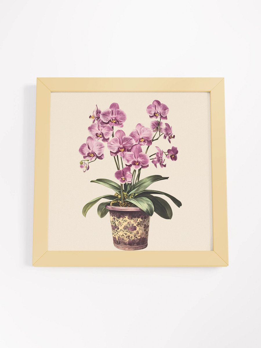 Orchid Bloom Framed Matte Poster product image (4)