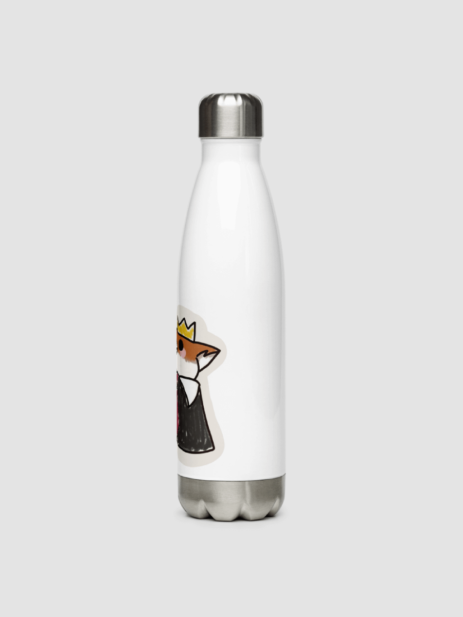 Bah! Stainless Steel Water bottle product image (3)