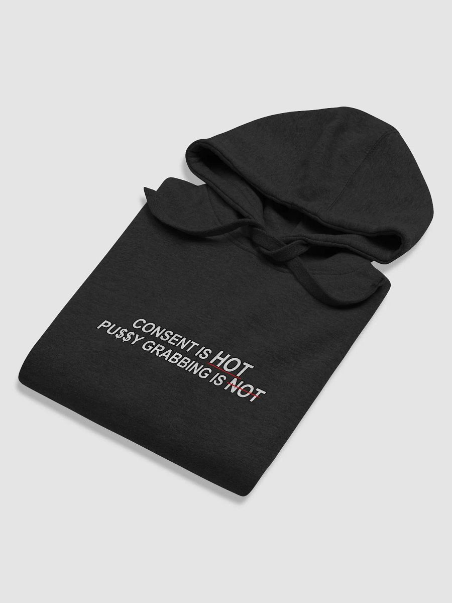 Consent Is Hot Unisex Premium Hoodie product image (6)