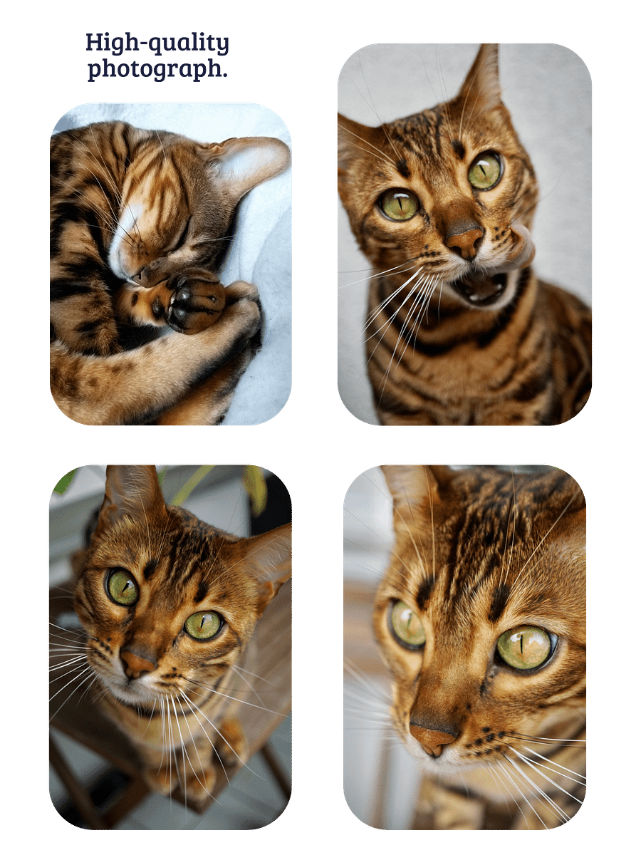 YOUR BEST FRIEND! / T-SHIRT WITH PERSONALIZED NAME / DIGITAL ART IV product image (5)
