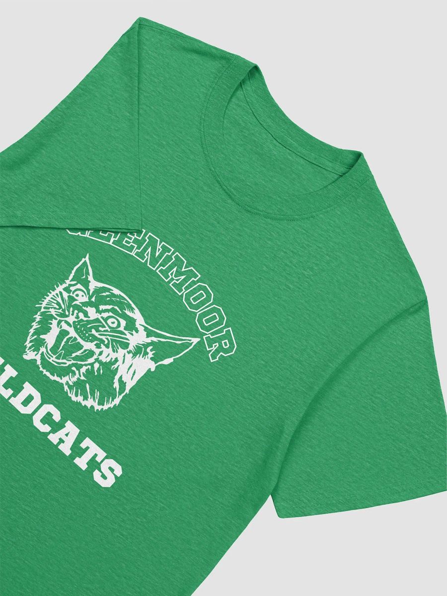 Kelly Green | Adult Gildan Unisex Softstyle T-Shirt product image (3)