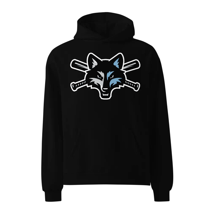 Dylan 4 Edition Adult Hoodie product image (5)