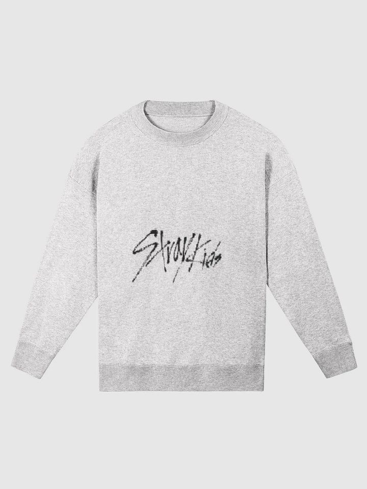 Stray Kids Logo Heavy Weight Crew neck product image (1)