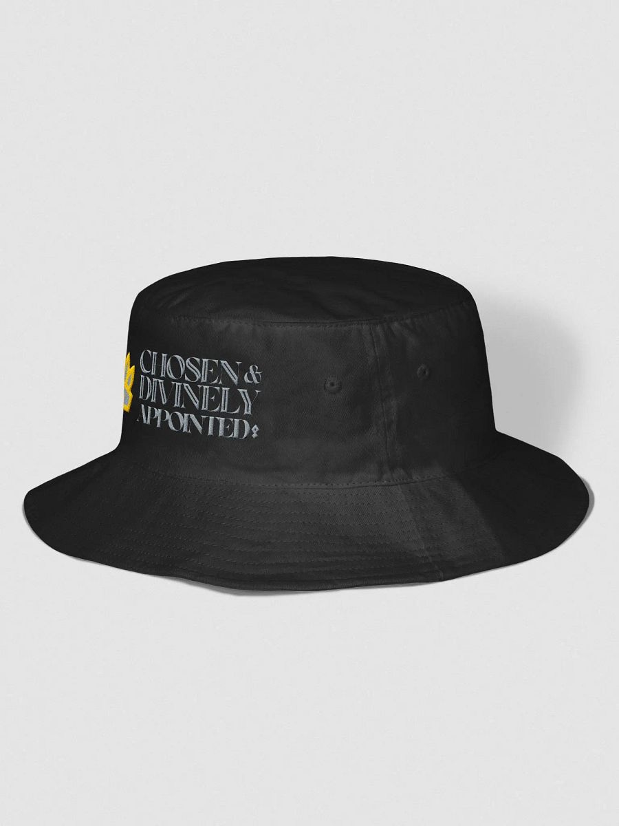 Chosen and Divinely Appointed product image (6)