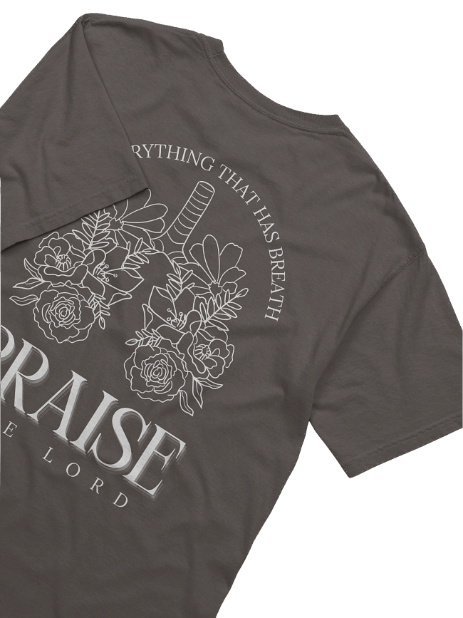 All Creation Collection: Ep 1