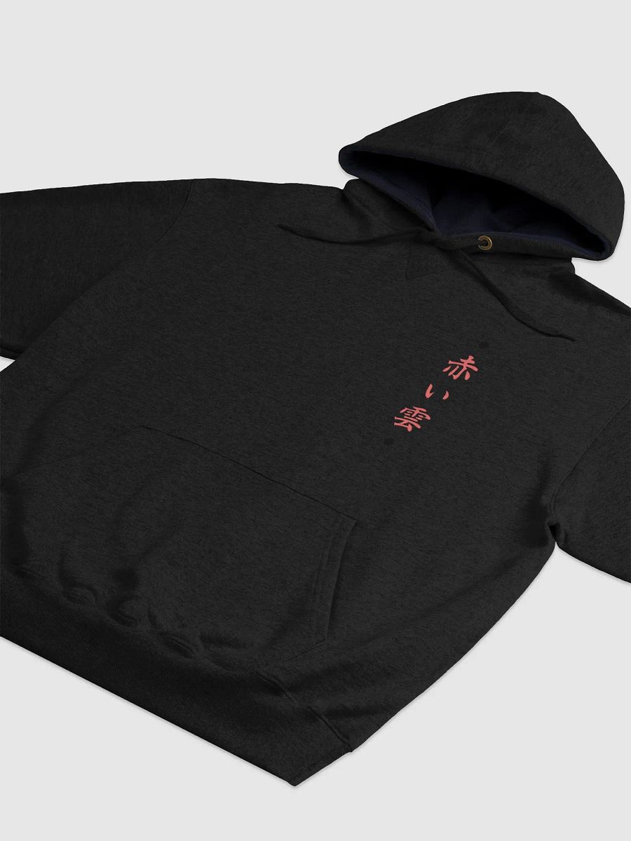 BEAST WITHIN CHAMPION HOODIE product image (5)