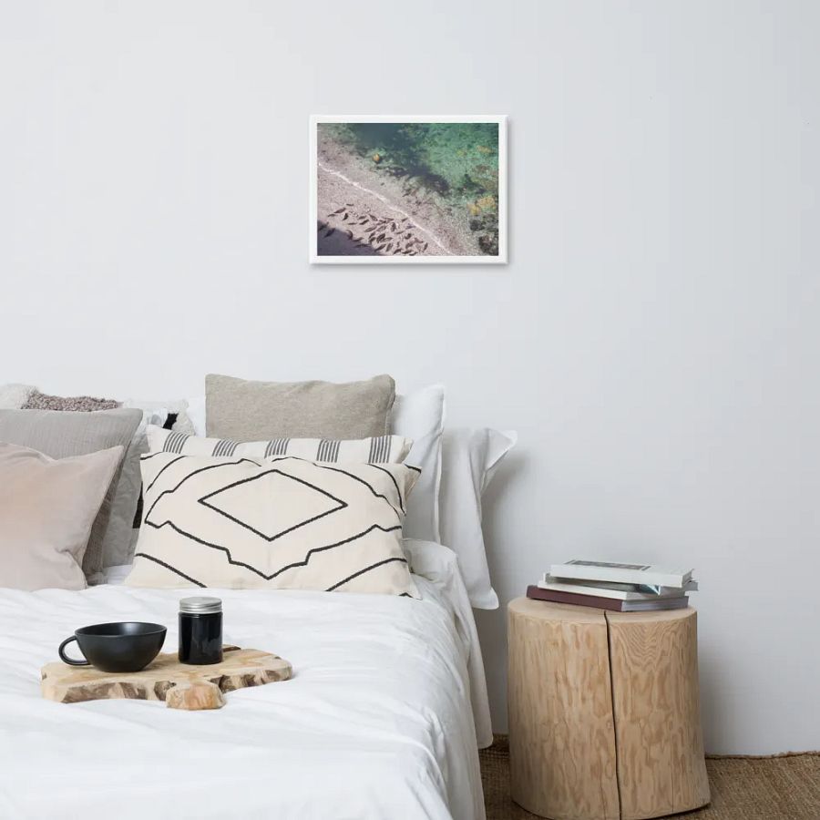 Seals on a hidden beach product image (6)