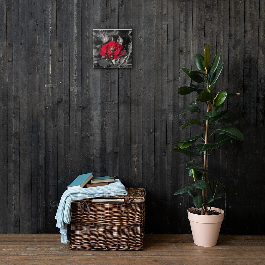 Rose on Canvas product image (3)