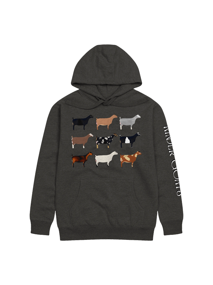 Kinder Kolors Hoodie product image (1)