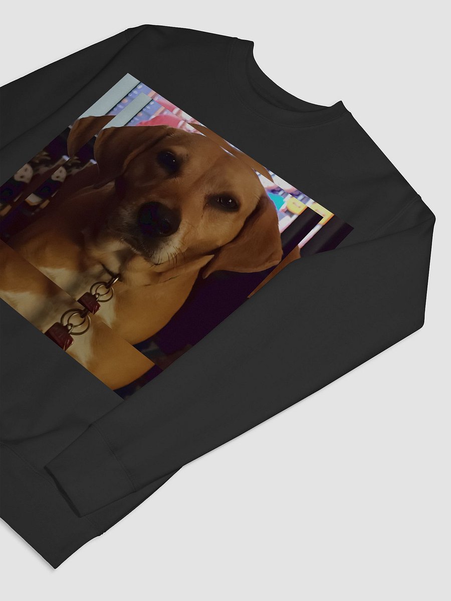 Luna Sweatshirt product image (61)