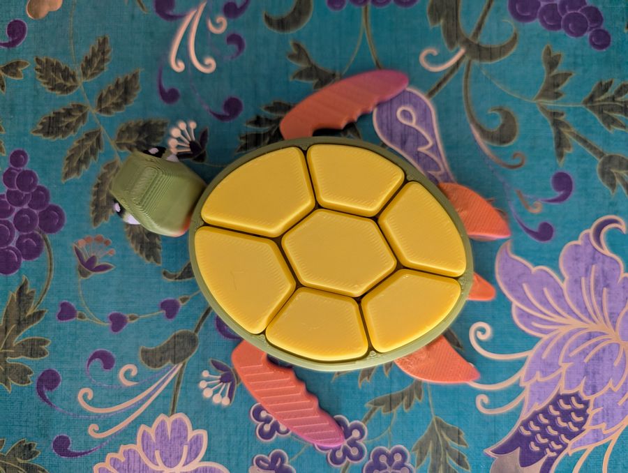 Paws & Turtles Clicker Fidgets product image (2)