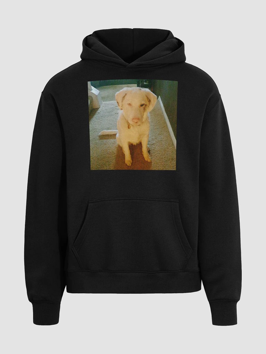 Ghost Dogg Album Hoodie product image (3)