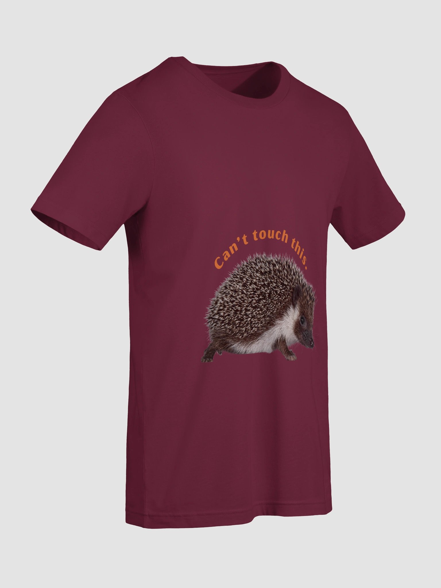 Spike, the hedgehog — simple and funny product image (5)