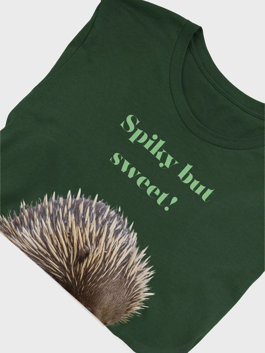 Spiky but Sweet Echidna T-Shirt product image (3)