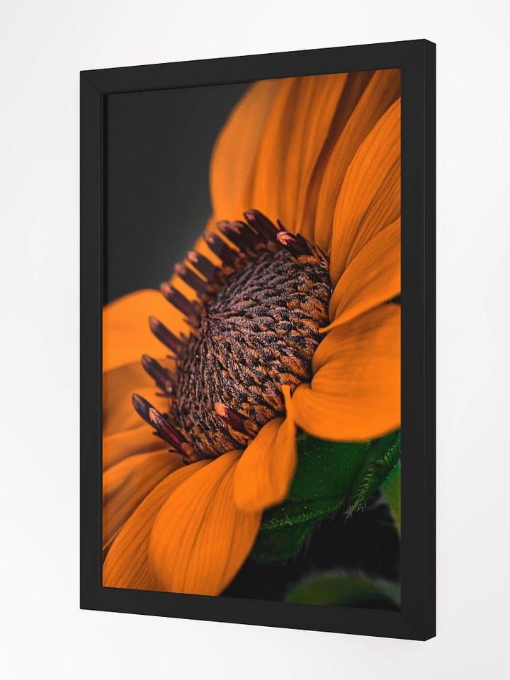 Orange You Glad Sunflower product image (3)