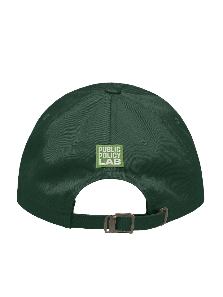 Better Services for the People Green Hat product image (2)