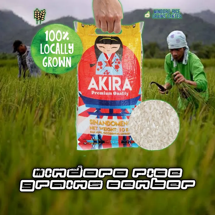 MINDORO RICE GRAINS CENTER Premium quality rice product image (1)