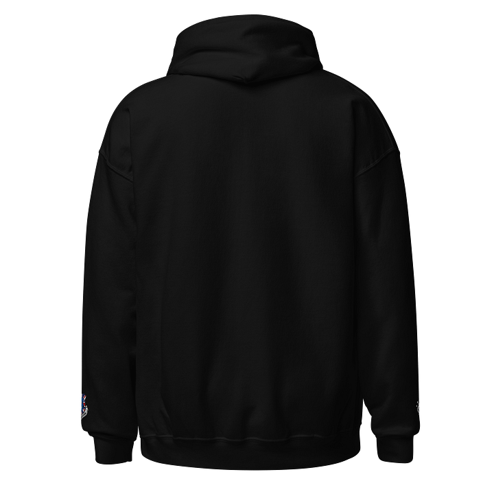 Union Bear "Take Aim" Hoodie product image (2)
